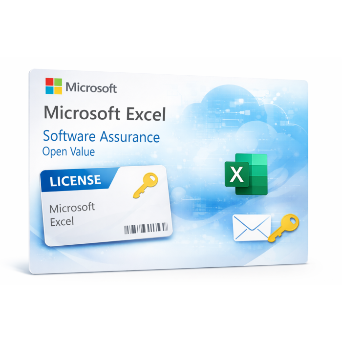 Excel Software Assur OV.png