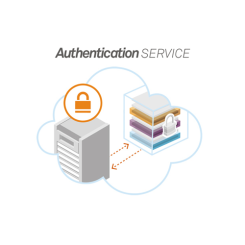 SafeNet Authentication Service (SAS) - 12 Monate, 250-499 User