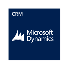 Dynamics CRM Essential CAL Single License SA Pack Open Value Level C 1 Year Acquired year 1 AP User CAL